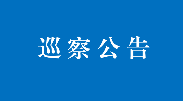 巡 察 公 告