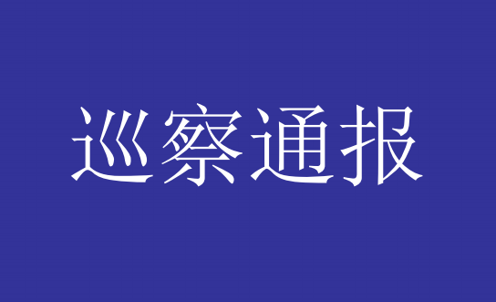 中共深圳市汇通金控基金投资有限公司支部委员会关于巡察整改进展情况的通报